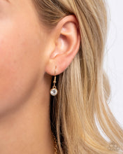 Load image into Gallery viewer, Canine Couture - Multi