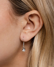 Load image into Gallery viewer, Leopard Luminescence - Brown