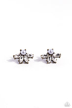 Load image into Gallery viewer, Stellar Showcase - Brass
