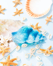 Load image into Gallery viewer, Smooth Seashell - Blue
