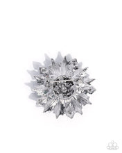 Load image into Gallery viewer, Popular Poinsettia - Red
