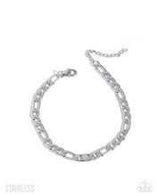 Load image into Gallery viewer, Stainless Showcase - Silver
