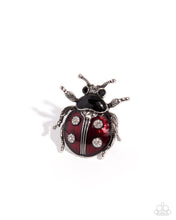 Load image into Gallery viewer, Ladybug Lesson - Red

