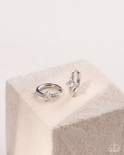 Load image into Gallery viewer, Stainless Setup - Silver
