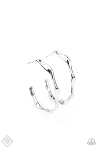 Coveted Curves - Silver- June Fashion Fix 21